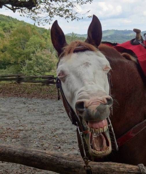 Daily Pictures. Part 1 (68 pics) Daily Pictures. Part 1 (68 pics)