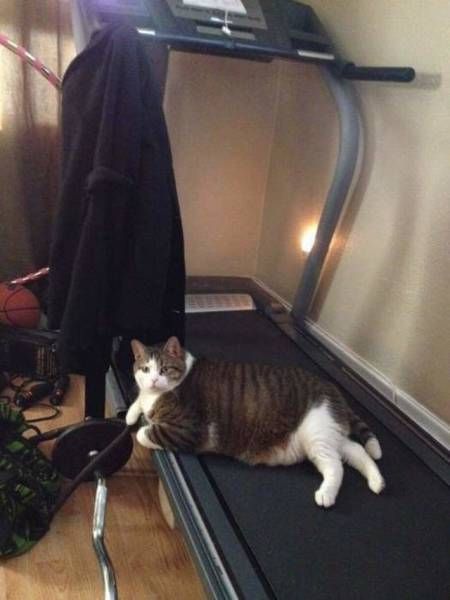 Daily Pictures. Part 1 (68 pics) Daily Pictures. Part 1 (68 pics)