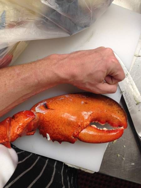 Daily Pictures. Part 1 (68 pics) Daily Pictures. Part 1 (68 pics)