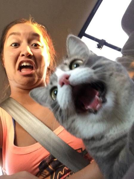 Daily Pictures. Part 1 (68 pics) Daily Pictures. Part 1 (68 pics)