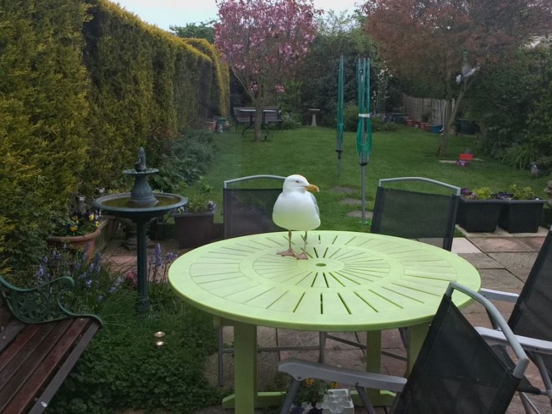 Daily Pictures. Part 1 (68 pics) Daily Pictures. Part 1 (68 pics)