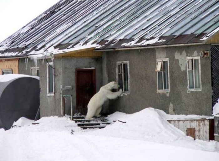 Daily Pictures. Part 1 (68 pics) Daily Pictures. Part 1 (68 pics)