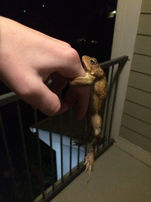 Daily Pictures. Part 1 (68 pics) Daily Pictures. Part 1 (68 pics)