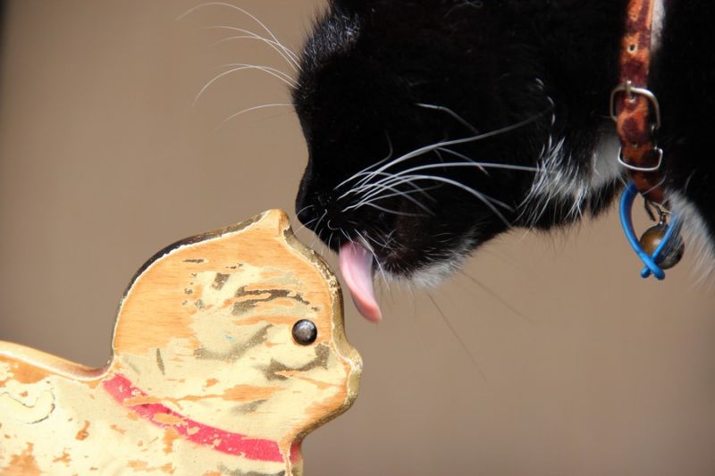 Daily Pictures. Part 1 (68 pics) Daily Pictures. Part 1 (68 pics)