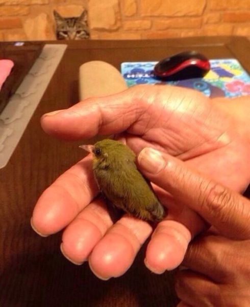 Daily Pictures. Part 1 (68 pics) Daily Pictures. Part 1 (68 pics)