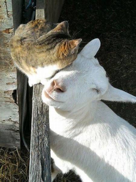 Daily Pictures. Part 1 (68 pics) Daily Pictures. Part 1 (68 pics)