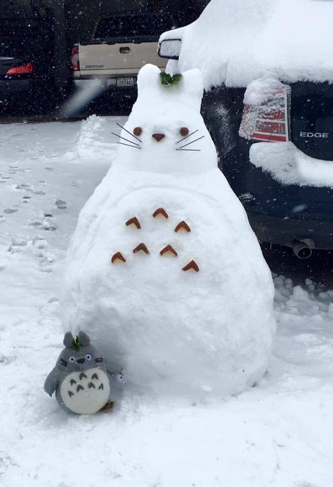 Daily Pictures. Part 2 (67 pics)