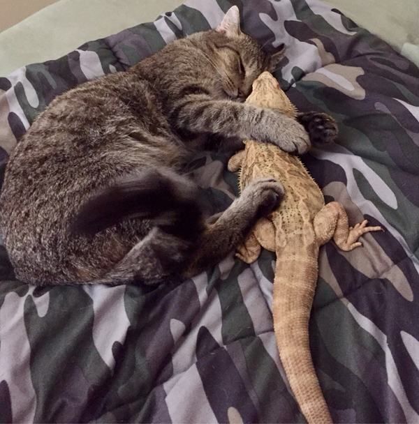 Daily Pictures. Part 1 (68 pics) Daily Pictures. Part 1 (68 pics)