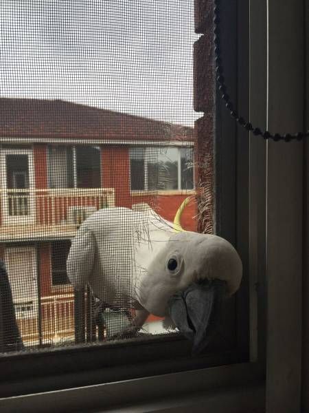 Daily Pictures. Part 2 (67 pics)