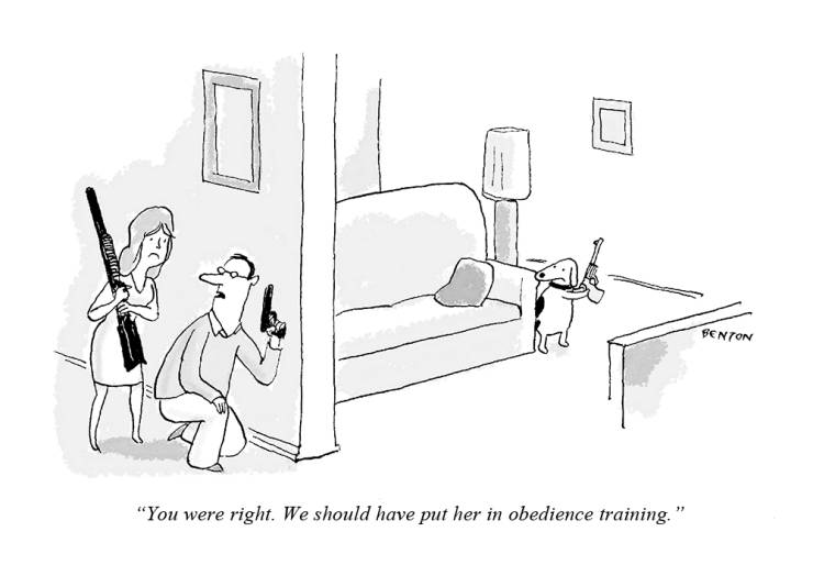 Daily Pictures. Part 2 (67 pics)