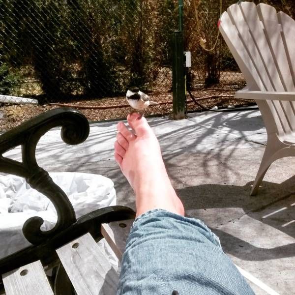 Daily Pictures. Part 2 (67 pics)