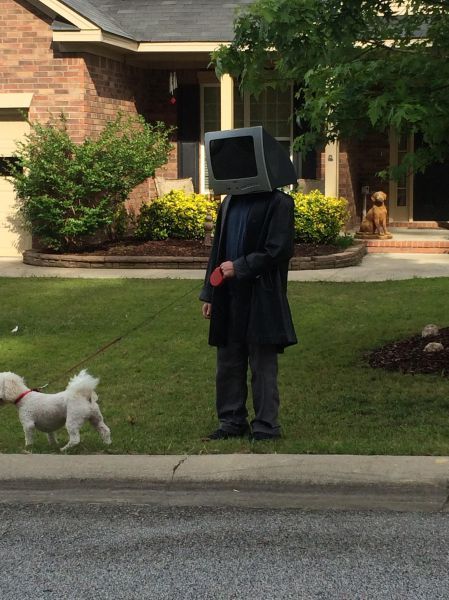 Daily Pictures. Part 2 (67 pics)