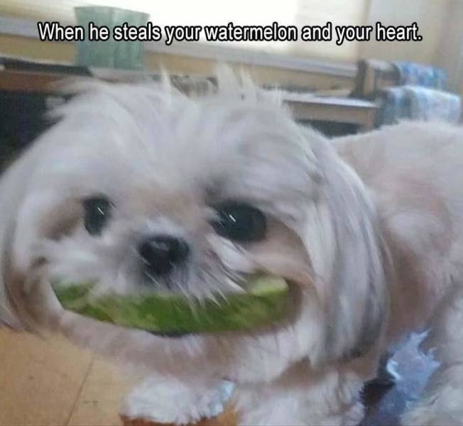 Daily Pictures. Part 2 (67 pics)