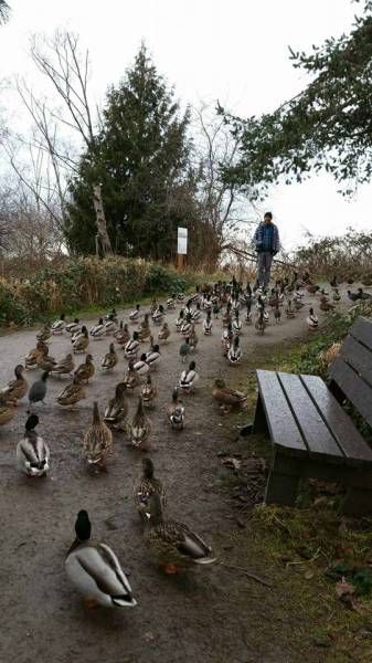 Daily Pictures. Part 1 (69 pics) Daily Pictures. Part 1 (69 pics)