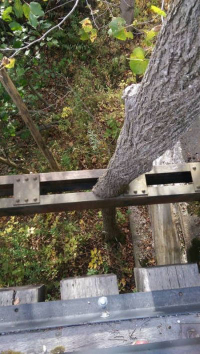 Daily Pictures. Part 1 (69 pics) Daily Pictures. Part 1 (69 pics)