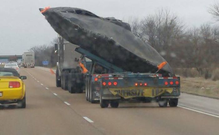 Daily Pictures. Part 1 (69 pics) Daily Pictures. Part 1 (69 pics)