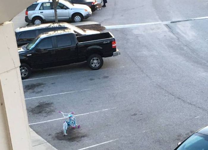 Daily Pictures. Part 1 (69 pics) Daily Pictures. Part 1 (69 pics)