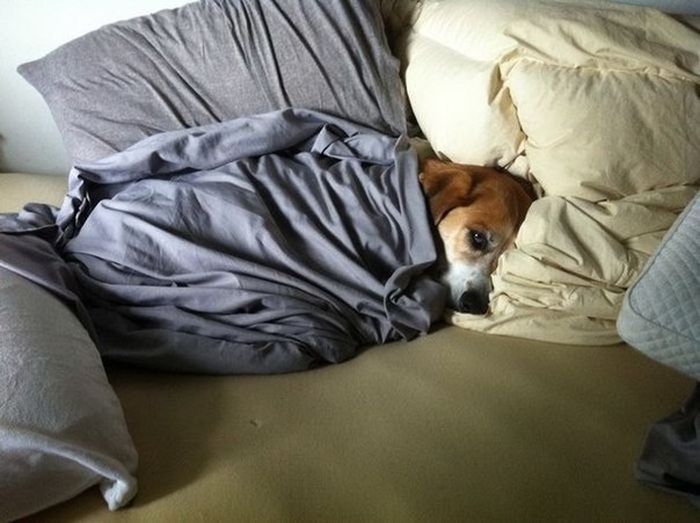 Daily Pictures. Part 1 (69 pics) Daily Pictures. Part 1 (69 pics)