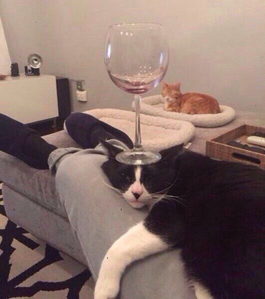 Daily Pictures. Part 1 (69 pics) Daily Pictures. Part 1 (69 pics)