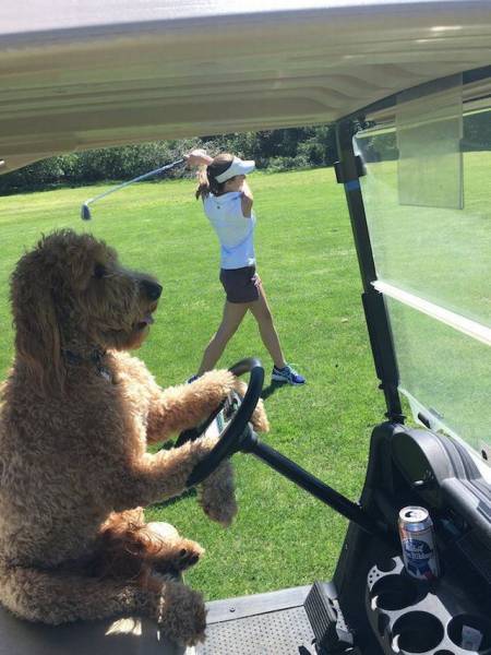 Daily Pictures. Part 1 (69 pics) Daily Pictures. Part 1 (69 pics)