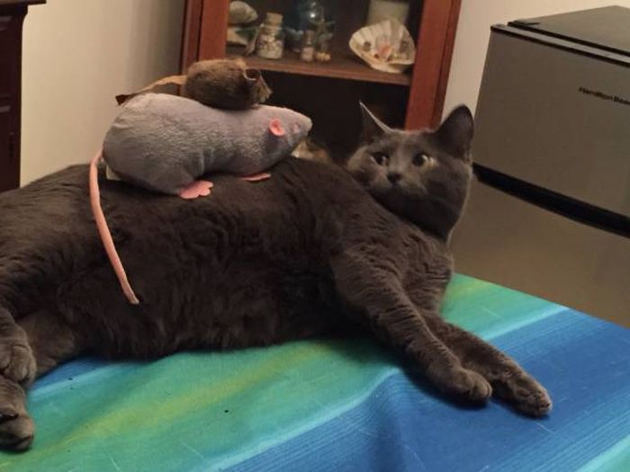 Daily Pictures. Part 1 (69 pics) Daily Pictures. Part 1 (69 pics)