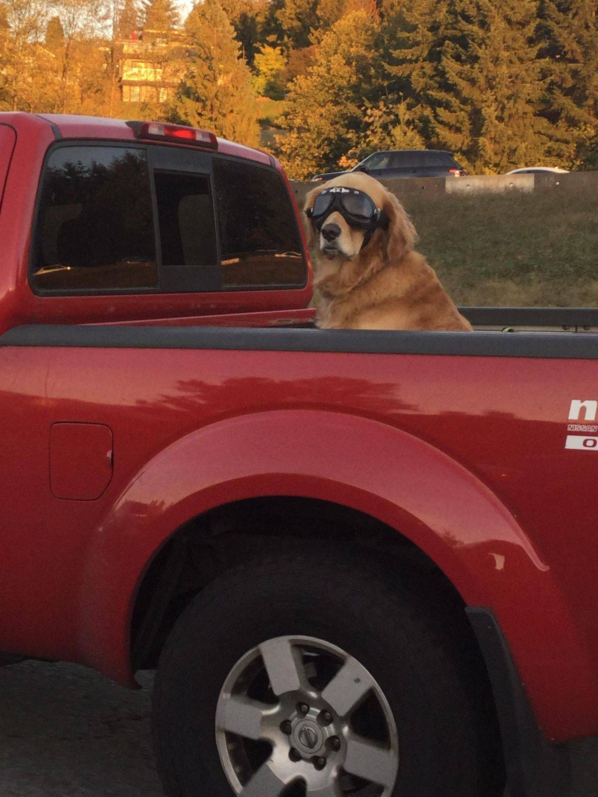 Daily Pictures. Part 1 (69 pics) Daily Pictures. Part 1 (69 pics)