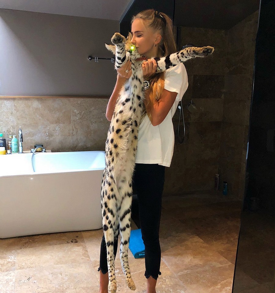 Daily Pictures. Part 2 (68 pics)