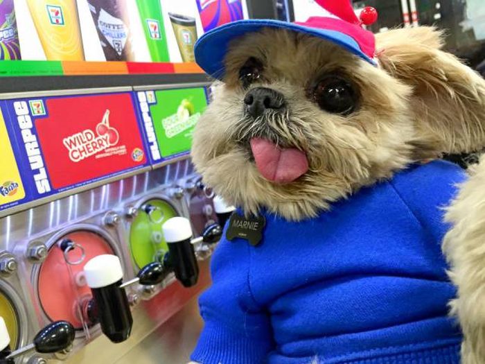 Daily Pictures. Part 1 (69 pics) Daily Pictures. Part 1 (69 pics)