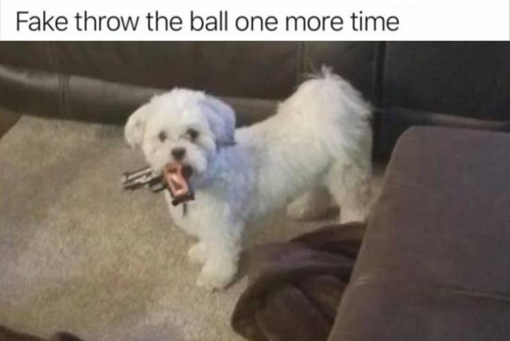 Daily Pictures. Part 2 (68 pics)