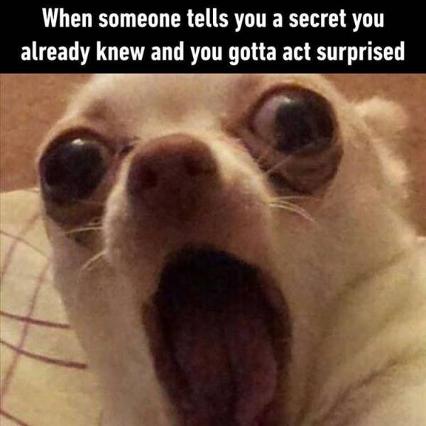 Daily Pictures. Part 2 (68 pics)