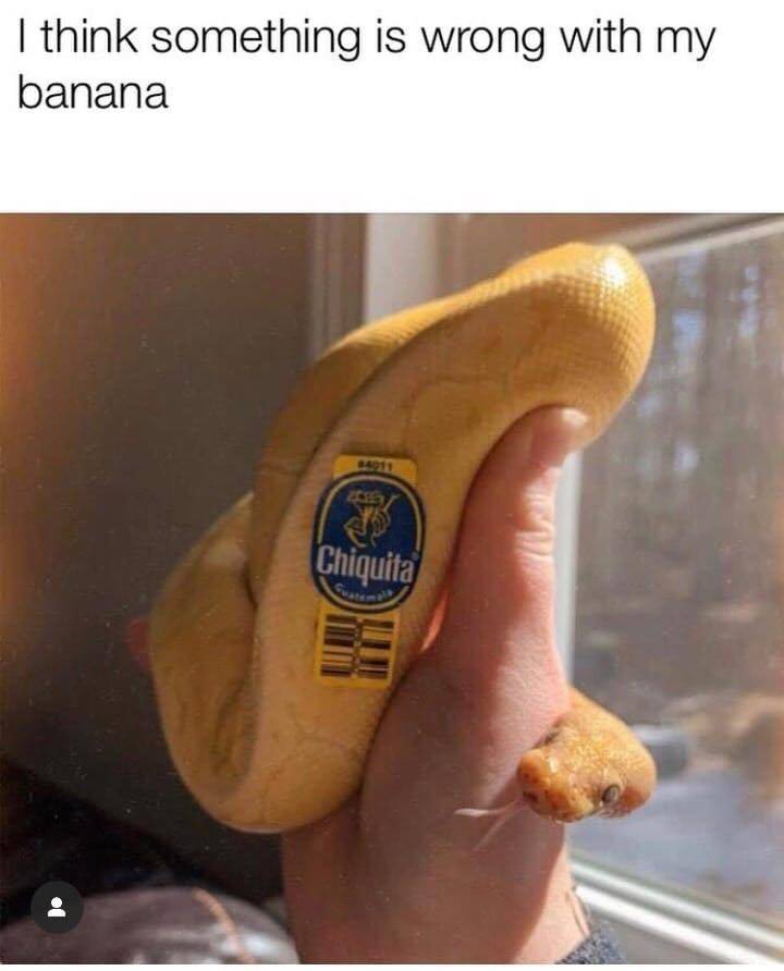 Daily Pictures. Part 2 (68 pics)