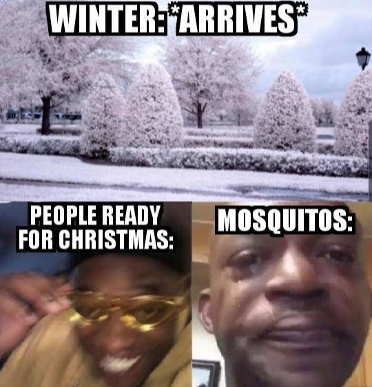 Daily Pictures. Part 2 (68 pics)