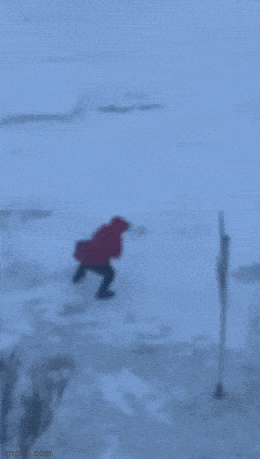 Acid GIFs, March 3 (25 gifs) Acid GIFs, March 3 (25 gifs)