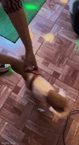 Acid GIFs, March 3 (25 gifs) Acid GIFs, March 3 (25 gifs)