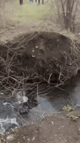 Acid GIFs, March 3 (25 gifs) Acid GIFs, March 3 (25 gifs)