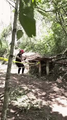 Acid GIFs, March 3 (25 gifs) Acid GIFs, March 3 (25 gifs)