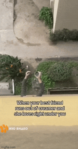 Acid GIFs, March 3 (25 gifs) Acid GIFs, March 3 (25 gifs)