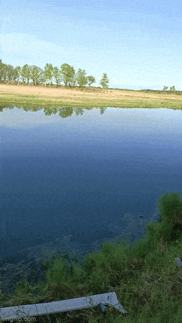 Acid GIFs, March 3 (25 gifs) Acid GIFs, March 3 (25 gifs)