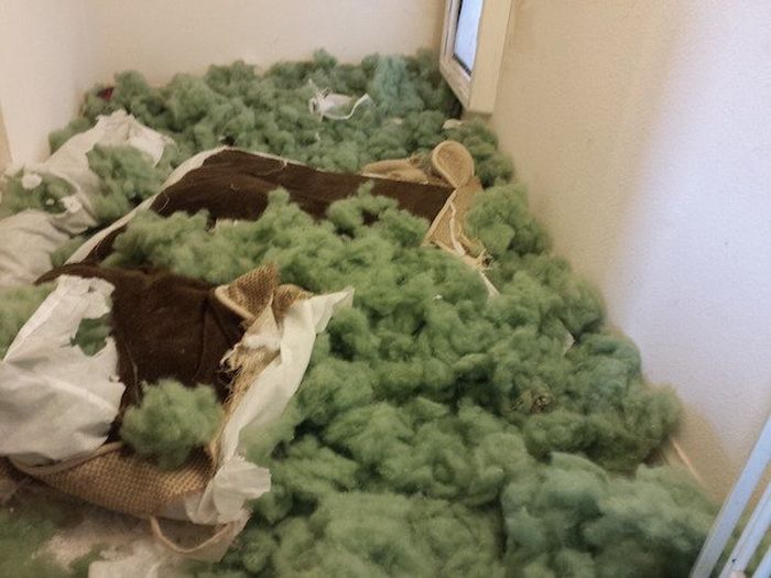 Bad Days Happen (18 pics)