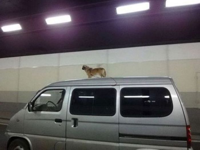 Bad Days Happen (18 pics)