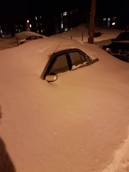 Daily Pictures. Part 1 (71 pics) Daily Pictures. Part 1 (71 pics)