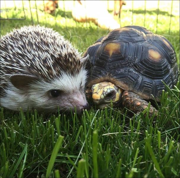 Daily Pictures. Part 1 (71 pics) Daily Pictures. Part 1 (71 pics)