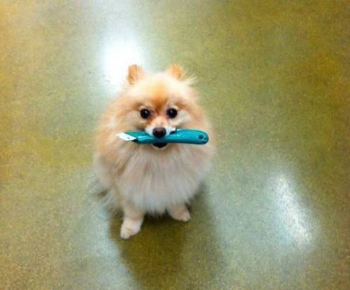 Daily Pictures. Part 1 (71 pics) Daily Pictures. Part 1 (71 pics)