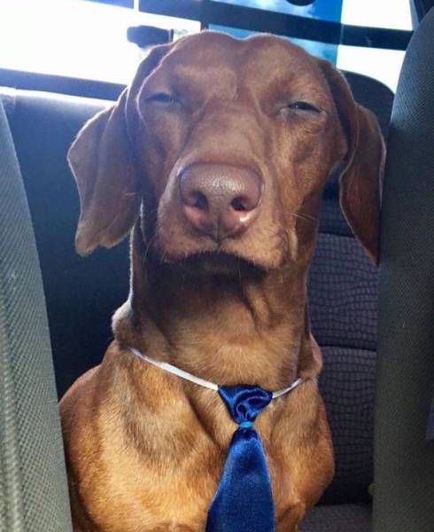 Daily Pictures. Part 1 (71 pics) Daily Pictures. Part 1 (71 pics)