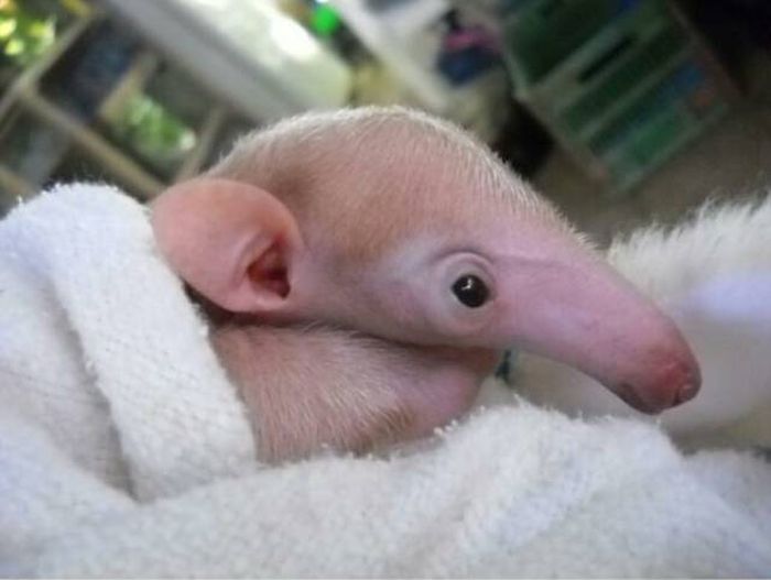 Daily Pictures. Part 1 (71 pics) Daily Pictures. Part 1 (71 pics)