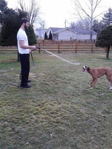 Daily Pictures. Part 1 (71 pics) Daily Pictures. Part 1 (71 pics)