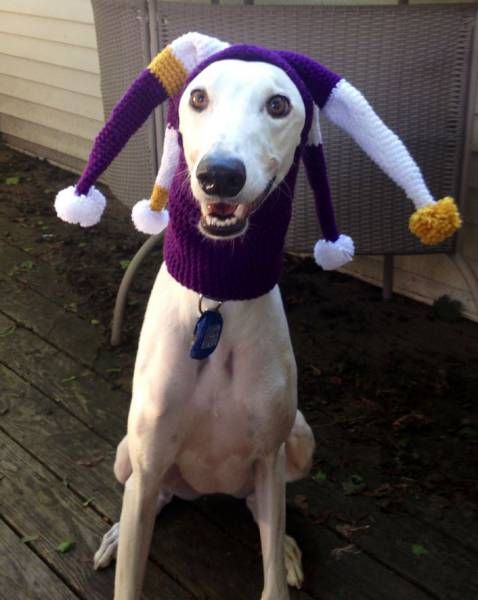 Daily Pictures. Part 1 (71 pics) Daily Pictures. Part 1 (71 pics)