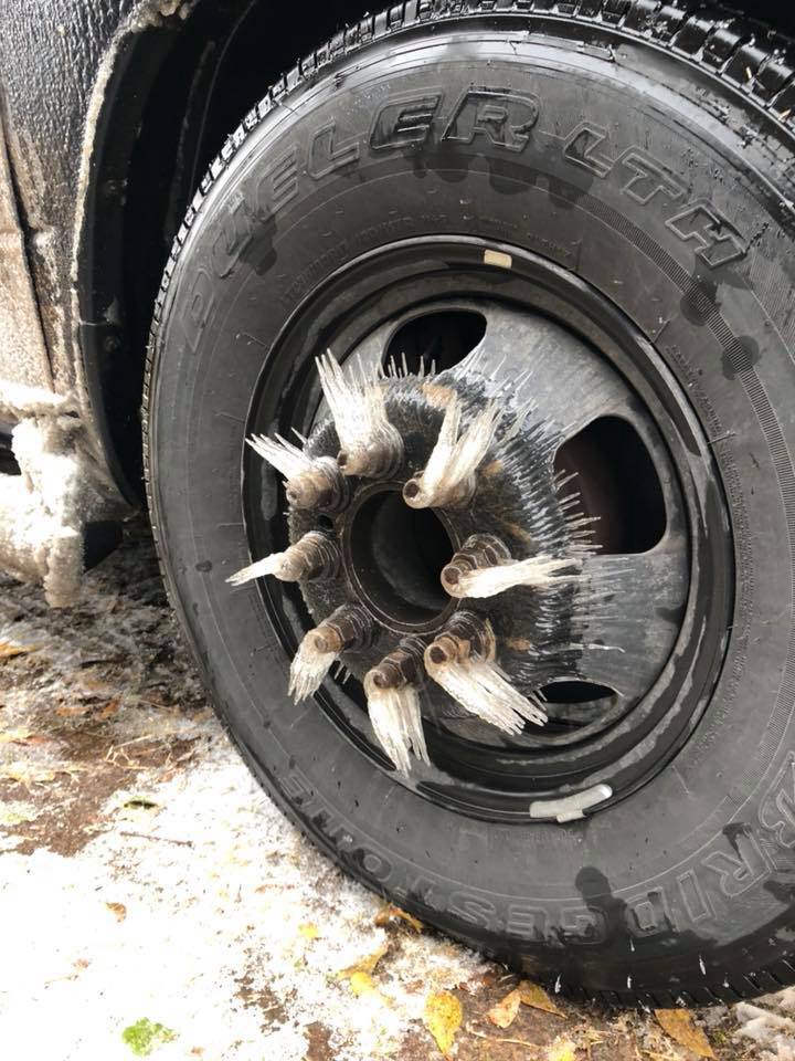 Daily Pictures. Part 1 (71 pics) Daily Pictures. Part 1 (71 pics)