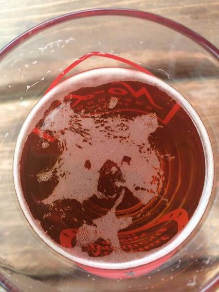 Daily Pictures. Part 1 (71 pics) Daily Pictures. Part 1 (71 pics)