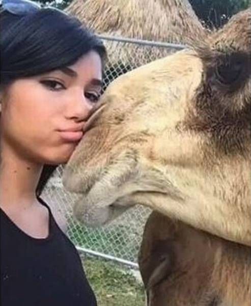 Daily Pictures. Part 1 (71 pics) Daily Pictures. Part 1 (71 pics)